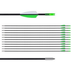 31 Inch Target 24/36/72PACK Practice Arrows Archery Recurve Bow Fiberglass Arrow
