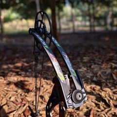 Compound Bow Arrow 40-75lbs CNC Archery 350FPS Shooting Hunting L/RH Pulley Bow