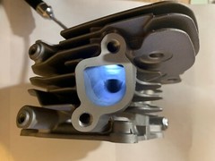 Predator Non-Hemi 212cc 36lb dual spring Hi-Po Head Titanium Special 24hrShip