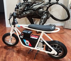Razor Rambler 12 – Throttle,Controller – PERFORMANCE KIT 36V Overvolt- Complete