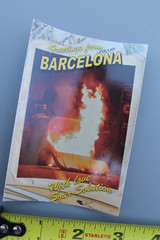 Sour Solution Skateboards Barcelona Spain Fire Punk Z75A Skateboarding STICKER