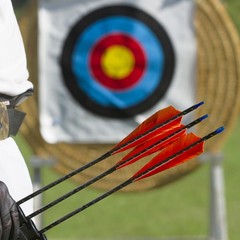 50 Pack Arrows Vanes 4 Inch Arrow Feather Right Wing White for DIY