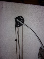 Darton Renegade Left Hand Compound Bow
