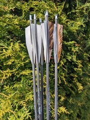 Gold Tip Warrior Carbon Arrows. 700, 600, 500, 400, 340, or 340. 6 Pack.