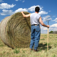 Round Bale Hay Net 4x4ft Large Round Bale Hay Nets for Horses Heavy Duty Slow…
