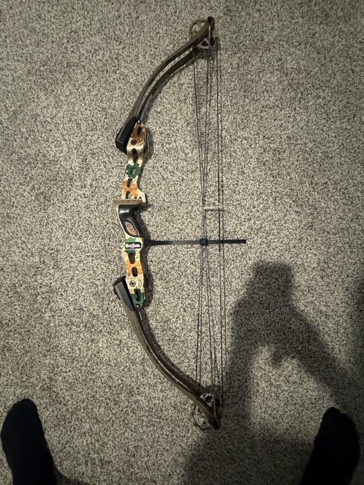 Compound Bow Hoyt Status Carbonite model, 60-70 lbs