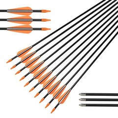 Elong Fiberglass Arrows Archery 24 26 28 30Inch Target Shooting Practice