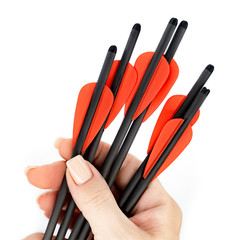 BALLISTA 12.8″ Carbon Bolts for Ballista Bat Pistol Crossbow (Pack of 6)