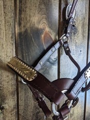 Dark Oil Yearling Show Halter – Congress Cut Silver – Matching Lead Shank