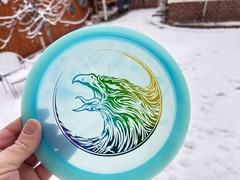 Champion FLAT Firebird Fierce Falcon Disc Golf Swirl Innova Artist Limited #6036