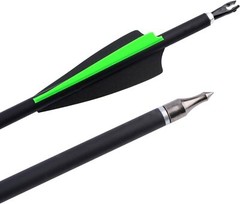 12Pcs 30 Inch Carbon Arrow Practice Hunting Arrow for Compound Bow Recurve Bow
