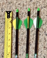 3- Allen Kryptos 50-70Lbs 2-31″/ 1-29″ W/Screw-in Tips & Fletching
