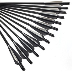 20 Inch Crossbow Arrows with 4″ Vane 125 Grain Arrowheads Archery Hunting 12PACK