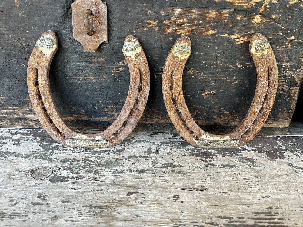 Hand-Forged Pair of 2 Studded Cast Iron Lucky Draft Horseshoes-Farmhouse Decor
