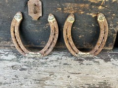 Hand-Forged Pair of 2 Studded Cast Iron Lucky Draft Horseshoes-Farmhouse Decor