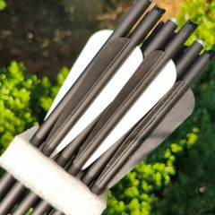 20 Inch Crossbow Arrows with 4″ Vane 125 Grain Arrowheads Archery Hunting 12PACK