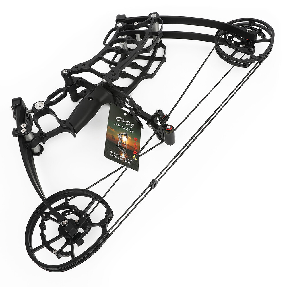 US Compound Bow Short Axis 30-70lbs Dual-use Steel Ball Arrow Hunting Fish RH LH