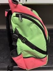 Fresh Prince Smack Disc Golf Bag