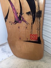 Vintage 1988 Tracker Gary Scott Davis GSD Eye See Pterodactyls Skateboard Deck