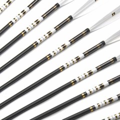 12x 30″ Archery Carbon Arrows Spine 500 Turkey Feather For Compound/Recurve Bow