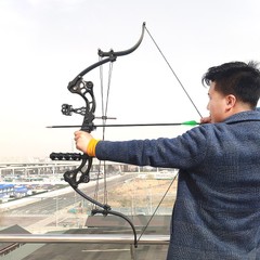 Compound Bow Set 40-55lbs Adjustable 320FPS Fishing Hunt Recurve Archery Shoot