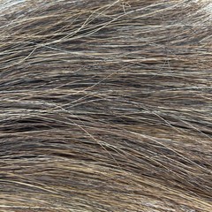 13” Horsehair Shoofly Round Striped Rawhide Knot Brass Ring Chestnut Sorrel