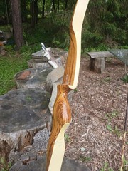 Vintage Wing Archery Gull recurve 40# zebra