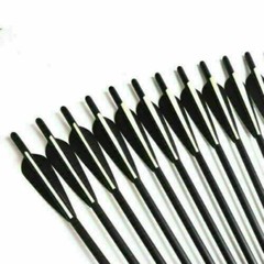 12Pcs 20 inch Crossbow Bolts Carbon Arrow For Hunt Target OD 8.8mm With 4″ vane