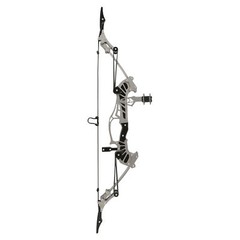 Hunting Mini Bow Arrow Set 16lbs Compound Bow Game Gift Practice Shooting Target