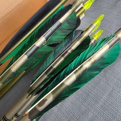 Easton XX75 2317 Camo Hunter 31.5 in 7pc Gamegetter 2219 31″ 3pc 3 points (read)