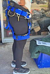 BUCKINGHAM ELITE ARBORMASTER DELUXE 16092W1L ARBORIST SADDLE LARGE 38″-42″ WAIST