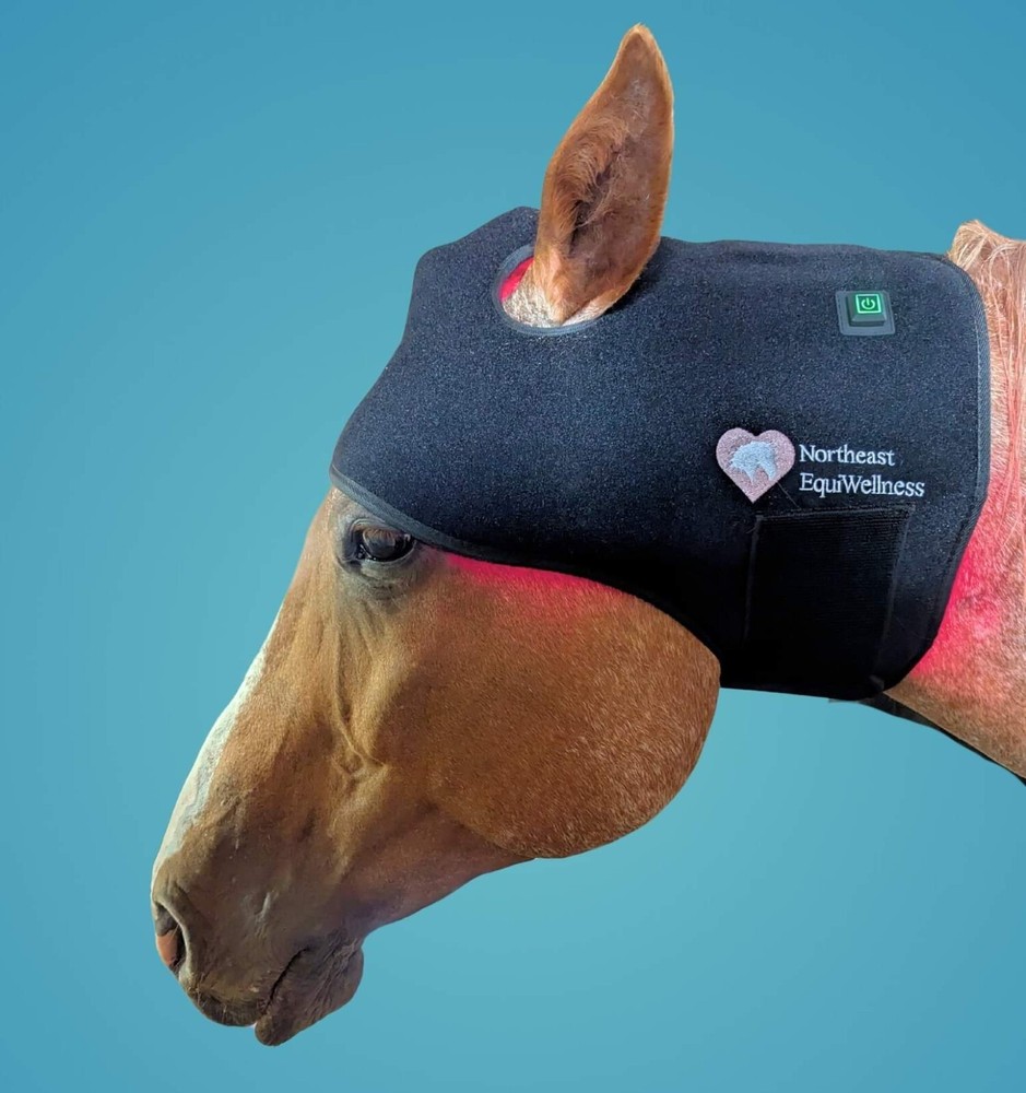 NE EquiWellness Horse Red Light Therapy Poll Cap / Leg Wrap Near Infrared Equine