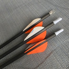 Blackout Envy X5 400 32 in Arrows + Truglo Bow Arrow Quiver (read)
