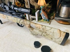 WINCHESTER 1400CS PELLET RIFLE / TPO SCOPE