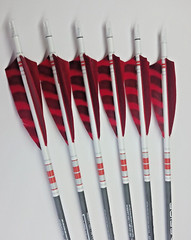 Goldtip warriors arrows for Traditional archery