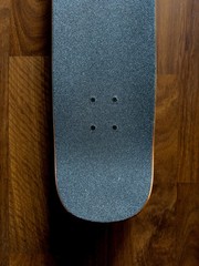 Welcome Skateboards Teddy Nora Vasconcellos Teal Factory Assembled