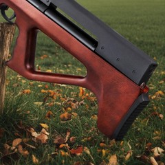 PINTY .22 PCP Pellet Striker Air Rifle Single Shot Air Gun with Hand Pump 5.5mm