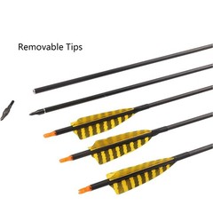 32 Inch Carbon Archery Arrows，Spine 400 with Removable Tips, 4inch Turkey Fea…