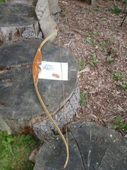 Vintage Wing Archery Gull recurve 40# zebra