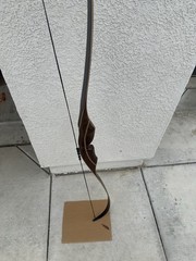 Bearpaw Penthalon 60” Recurve Bow 30 lbs @ 28” RH Nice Pre Owned Shape