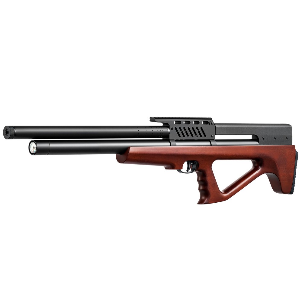 PINTY PCP Pellet Striker Air Rifle 5.5 mm .22 Single Shot Air Gun with Hand Pump