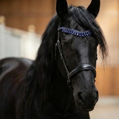 Royal Blue Crystal Horse Browband – Rhinestone Fringe Bling Bridle Headpiece