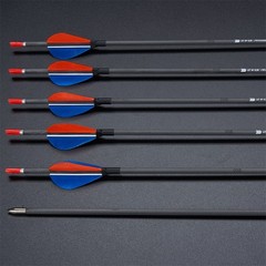 12PCS Archery Pure Carbon Arrows Turkey Feathers SP500-1200 Recurve Compound Bow