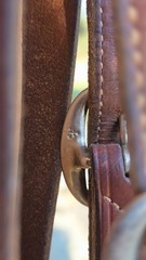 Vintage MacPherson Los Angeles Show Halter North & Judd Buckles Silver Overlay