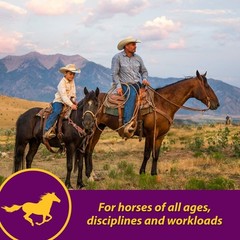 Horse Health Red Cell, Suplemento Liquido De Vitaminas, Hierro Y Minerales Para