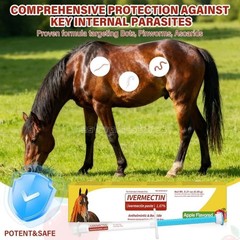 12 Pack New Paste Wormer Horse Dewormer Apple Flavor US Free Shipping EXP1/2028
