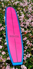60″ BIRCH Longboard Skateboard Cruiser Complete Setup with Paris Trucks NEW