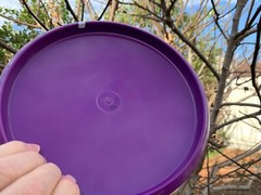 Star Stud New Disc Golf Innova First Run Penned PFN Rainbow 177G Prototype #932