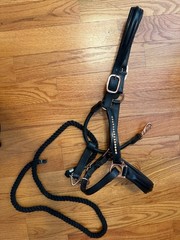 Full Size Black Leather Rose Gold Rhinestone Halter w/ Black Cotton 4ft Lead