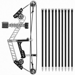 Stainless Steel Compound Bow Set with 10 Arrows, Metal Frame, Target Training, B